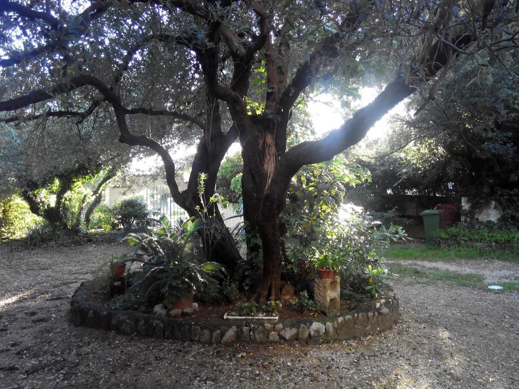 Daniela Apartment Makarska Luaran gambar