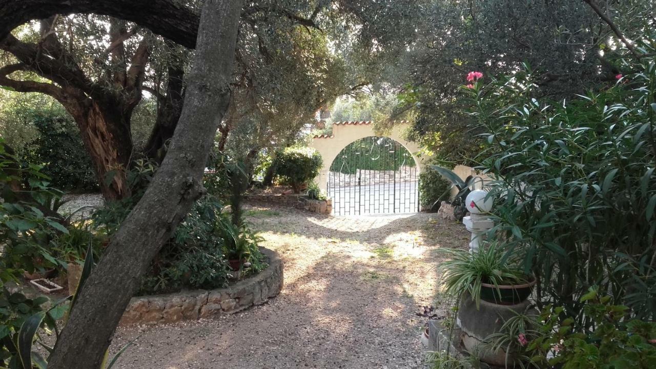 Daniela Apartment Makarska Luaran gambar